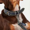 Blue Adjustable Leather Dog Collar