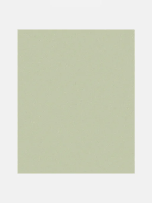 Sage Green Plain 10M Wallpaper